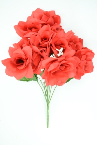 Red Micro Peach Open Rose Bush x12 (Lot of 1) SALE ITEM